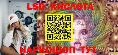 сатива Новодвинск