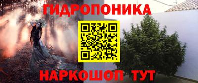 сатива Новодвинск