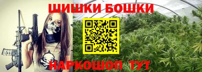 сатива Новодвинск
