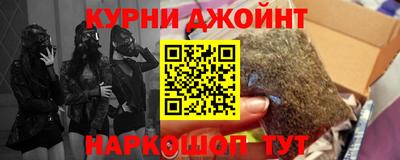 сатива Новодвинск