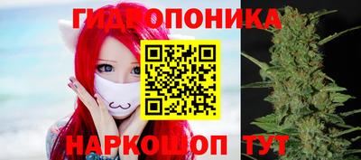 сатива Новодвинск