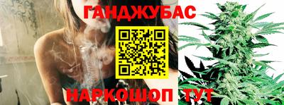 сатива Новодвинск