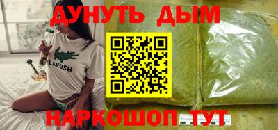 сатива Новодвинск
