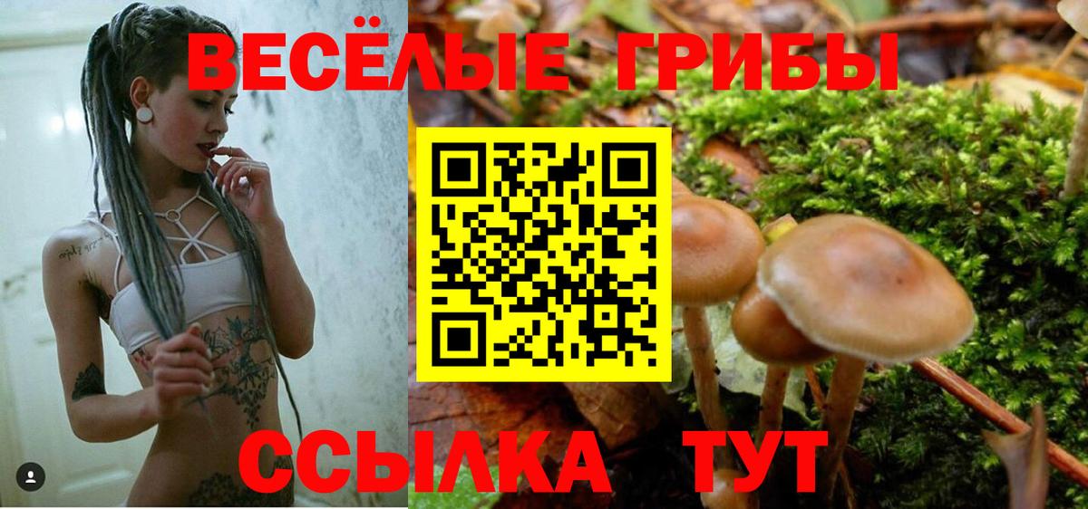 Псилоцибиновые грибы MAGIC MUSHROOMS Советск